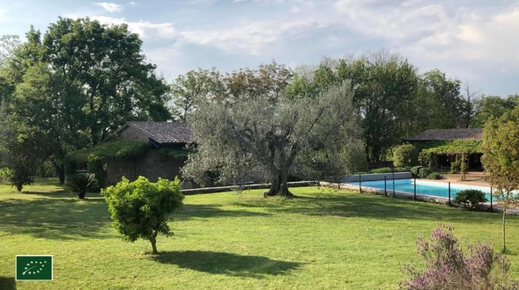 Agriturismo Eco-Bio Villa Vacasio Pitigliano Exterior photo
